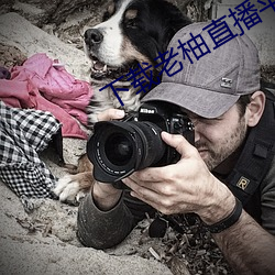 下载老柚直播平台