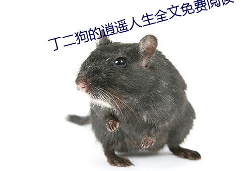 丁二狗的逍(逍)遥人生全文(文)免费(費)阅(閱)读