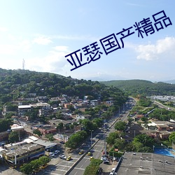 亚瑟(瑟)国产精(精)品