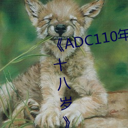 《ADC110年龄确认大驾光临未满十八岁》电影在线观看