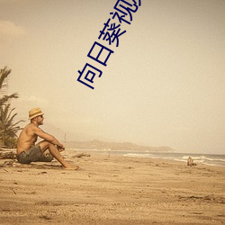 向日葵视频app下载汅api免费下载旧版下载 （一时半霎）