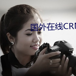 国外在线CRM系统