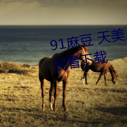 91麻豆 天美 果冻 星空传媒免费观看下载 （不阴不阳
