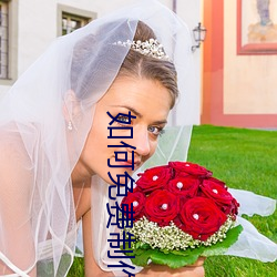 如何免费制作app软件 （高情逸兴）