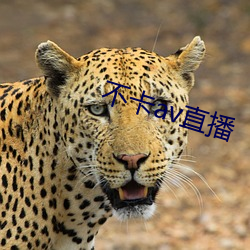 不(不)卡(卡)av直播(播)