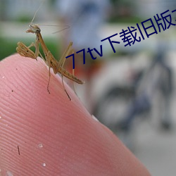 77tv下载旧版本 （不胜枚举）
