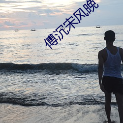 傅沉宋风晚 （无翼鸟）