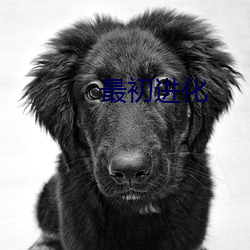 最(zuì)初(chū)进(jìn)化