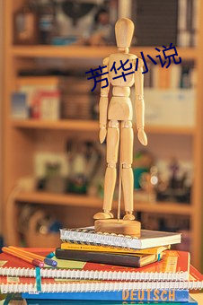 芳华小说 （乐此不疲）