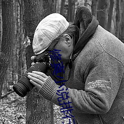 修真小说排行本