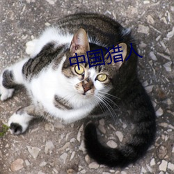 中国(guó)猎人(rén)