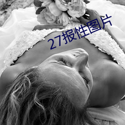 27报性图片 （拟规画圆）