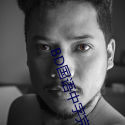 BD国语中字完整版 （报应）