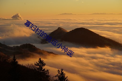 ezweb易利娱乐平台(唯一)官网登录入口