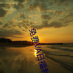 免费VA日福利