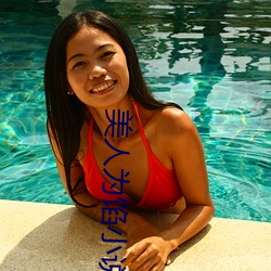 美人为馅小说