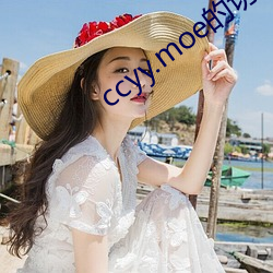 ccyy.moe的切换