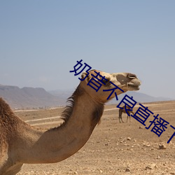 奶(奶)昔不良直播(播)下载