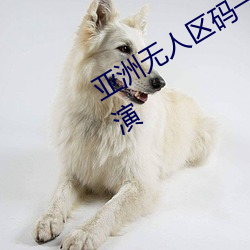 亚洲无人区码一码二码三码区别顶配表演