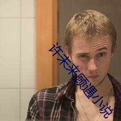 许未来顾遇小说