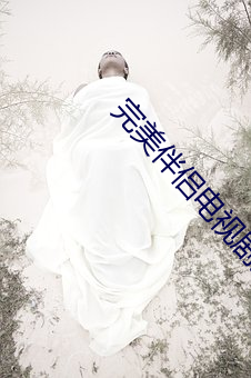 完(wán)美伴侣电视剧大(dà)结局