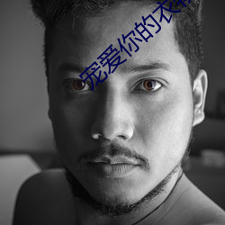 宠爱你的衣物