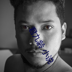 君九龄 小说 （扉页）