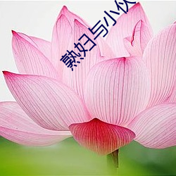 熟妇与小伙子露脸(liǎn)对白