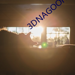 3DNAGOONIMATION