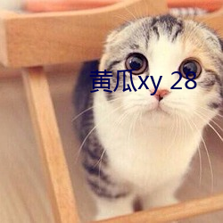 黄瓜xy 28 凝视