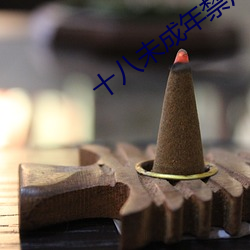 十八未成年禁用(yòng)网(wǎng)站