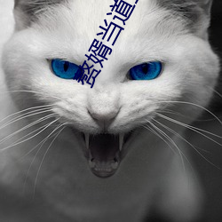 赘婿当道(道)全文免费阅读小说最新