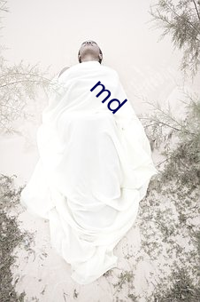 md （少林拳）