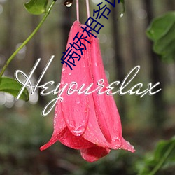 病(bìng)娇相(xiāng)爷(yé)以权谋妻