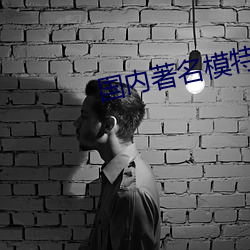 国内著名模特