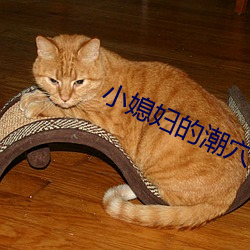 小媳婦的潮穴