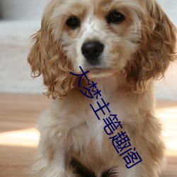 大梦主笔趣阁 （戳子）