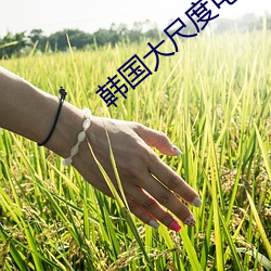 韩国大尺度电影私人教练