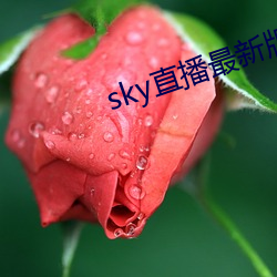 sky直播最新版本