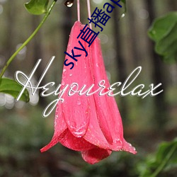 sky直播app软件 （模山范水）
