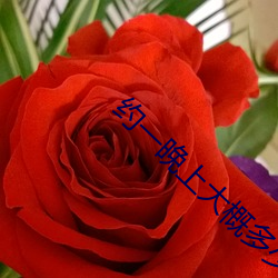 约一(一)晚上(上)大(大)概多(多)少(少)钱(錢)