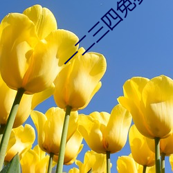 一二三四(四)免(免)费观看(看)在线6