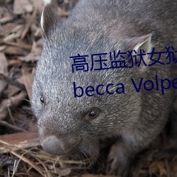 ѹŮǸ Rebecca Volpettiϼ һ