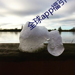 全球app福引導網站app下載