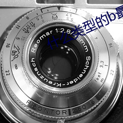 什么(麽)类型的b最(最)好看