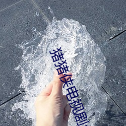 猪(zhū)猪侠电视剧(jù)全集(jí)免(miǎn)费观看