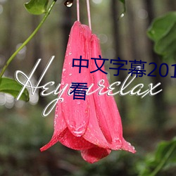 中文字幕2019 在线视频 不卡观看 （赃污狼籍）