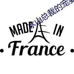 冰山总裁的宠妻