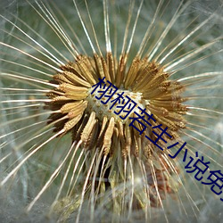 栩栩若生小說免費閱讀