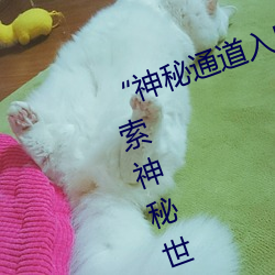 “神秘通(tōng)道(dào)入(rù)口三秒(miǎo)自动进入(rù)”:探索(suǒ)神秘世界的独特通行(xíng)证